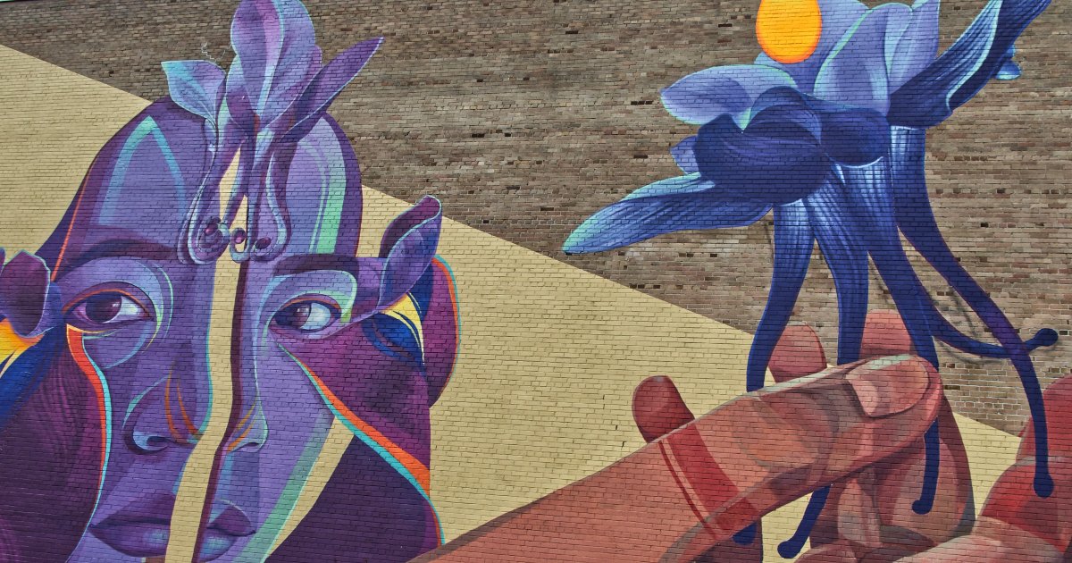 What Does Data Information Mean